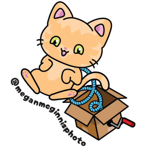 megan mcginnis photo & video